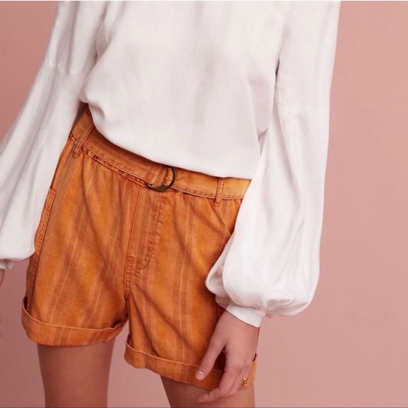 Anthropologie Pants - Anthropologie Hei Hei orange shorts